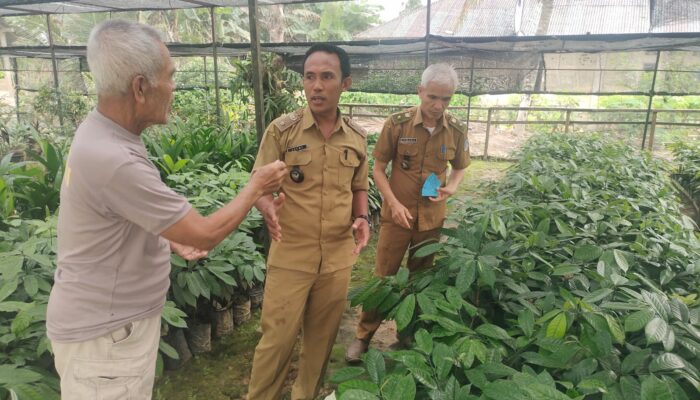 Pembangunan dan Penyaluran BLT Tahap I, Pemdes Rumba-Rumba Sukses Laksanakan