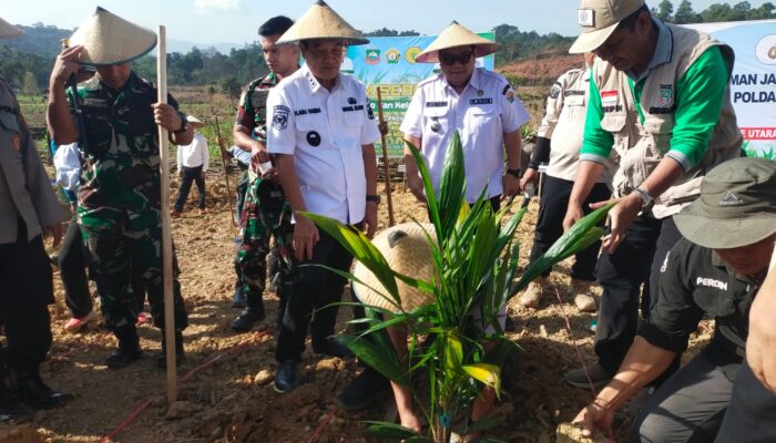 Wabup Konut: Tanam Serentak Padi Gogo dan Sawit Dukung Swasembada Pangan Nasional