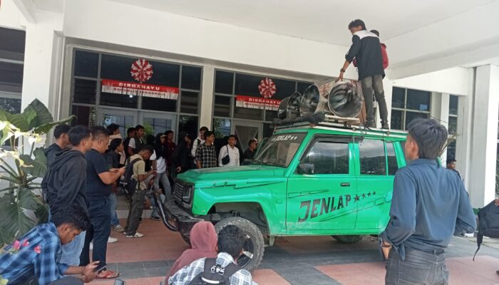 Geruduk Dinas Kehutanan Sultra, Masa Aksi Desak Sanksi untuk CV Sandana Cipta Barokah dan Kepala BPBD Mubar