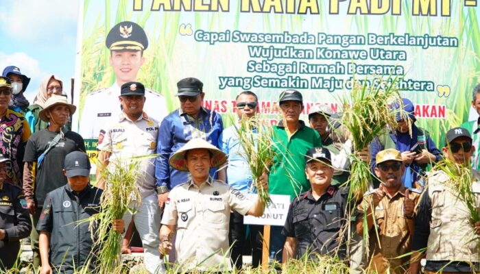 Bupati Ikbar Tegaskan Komitmen Ketahanan Pangan Lewat Panen Raya 135 Hektar di Konawe Utara