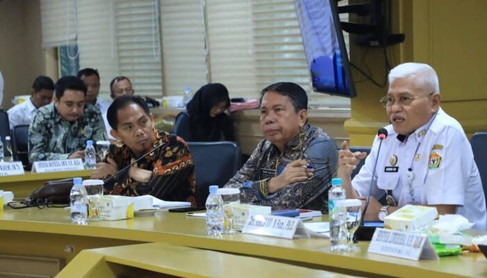 Gubernur Sultra: RUU Daerah Kepulauan adalah Fondasi Keadilan bagi Wilayah Maritim