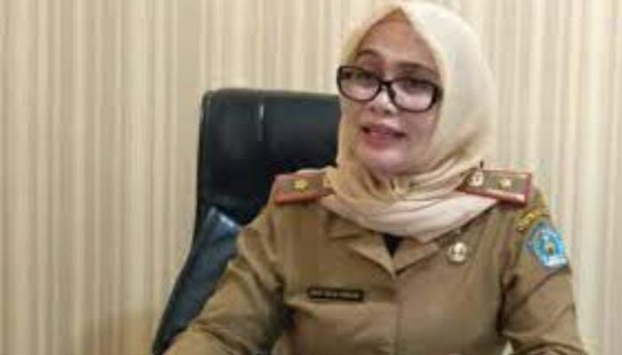 DLHK Kendari Tegaskan Aktivitas Pembukaan Lahan ASR di Teluk Kendari Sesuai RDTR dan Berstatus APL