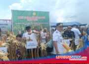 Panen Jagung Hibrida di Konawe, Bupati dan Wabup Seberangi Sungai Demi Ketahanan Pangan