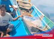 Warga Desa Laeya, Kecamatan Wakorumba Utara, Buton Utara Temukan Kapal Viber Tanpa Pemilik di Tengah Laut