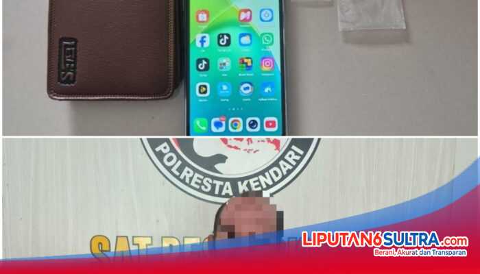 Petani di Konawe Kepulauan Ditangkap Polisi, Diduga Edarkan 21 Paket Sabu