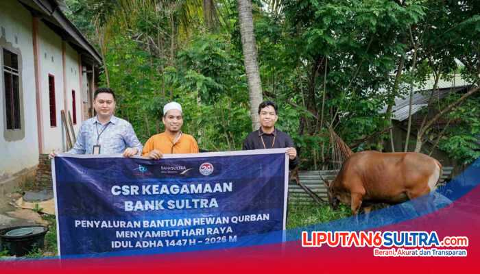 Wujud Kepedulian, Bank Sultra Salurkan 23 Ekor Sapi Kurban untuk Masyarakat di 17 Kabupaten/Kota Sultra